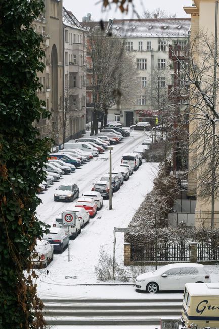 Зимние ограничения парковки в Петербурге: где могут эвакуировать